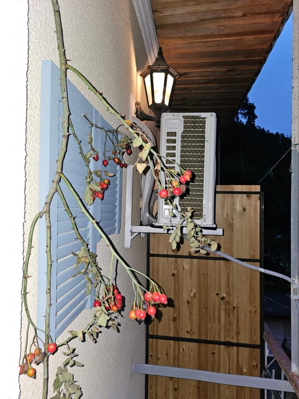 Guest house Likani 2017 Bordjomi Chambre photo