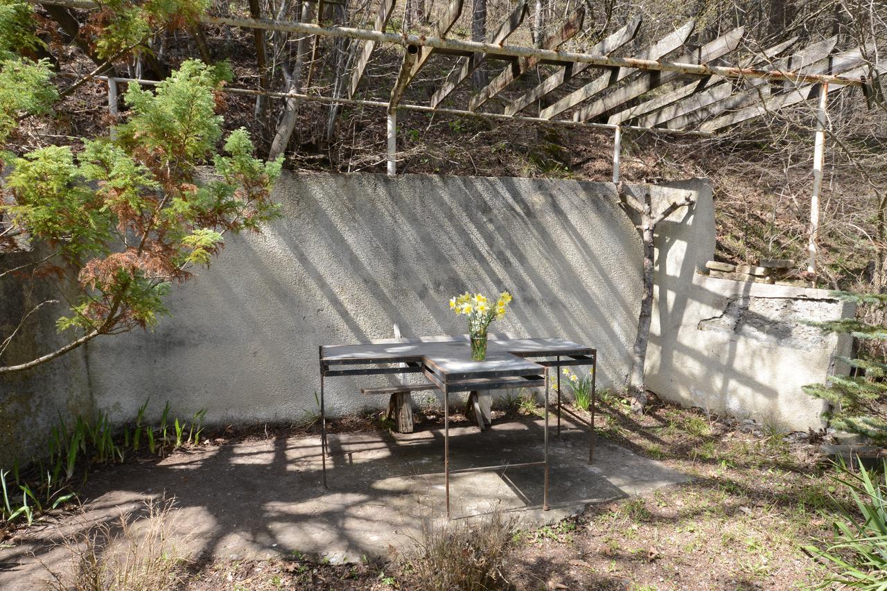 Guest house Likani 2017 Bordjomi Extérieur photo