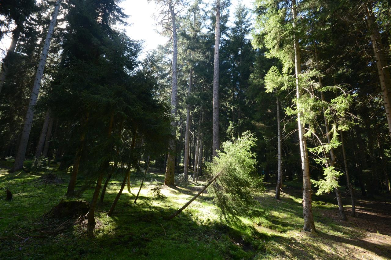 Guest house Likani 2017 Bordjomi Extérieur photo