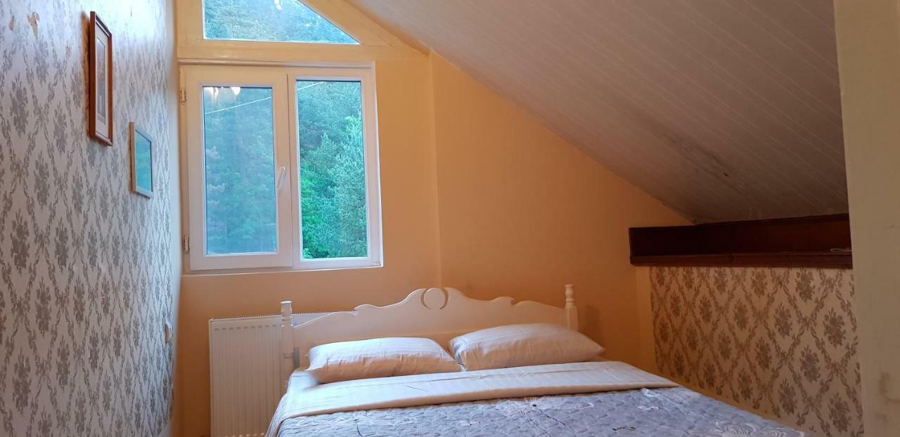 Guest house Likani 2017 Bordjomi Extérieur photo