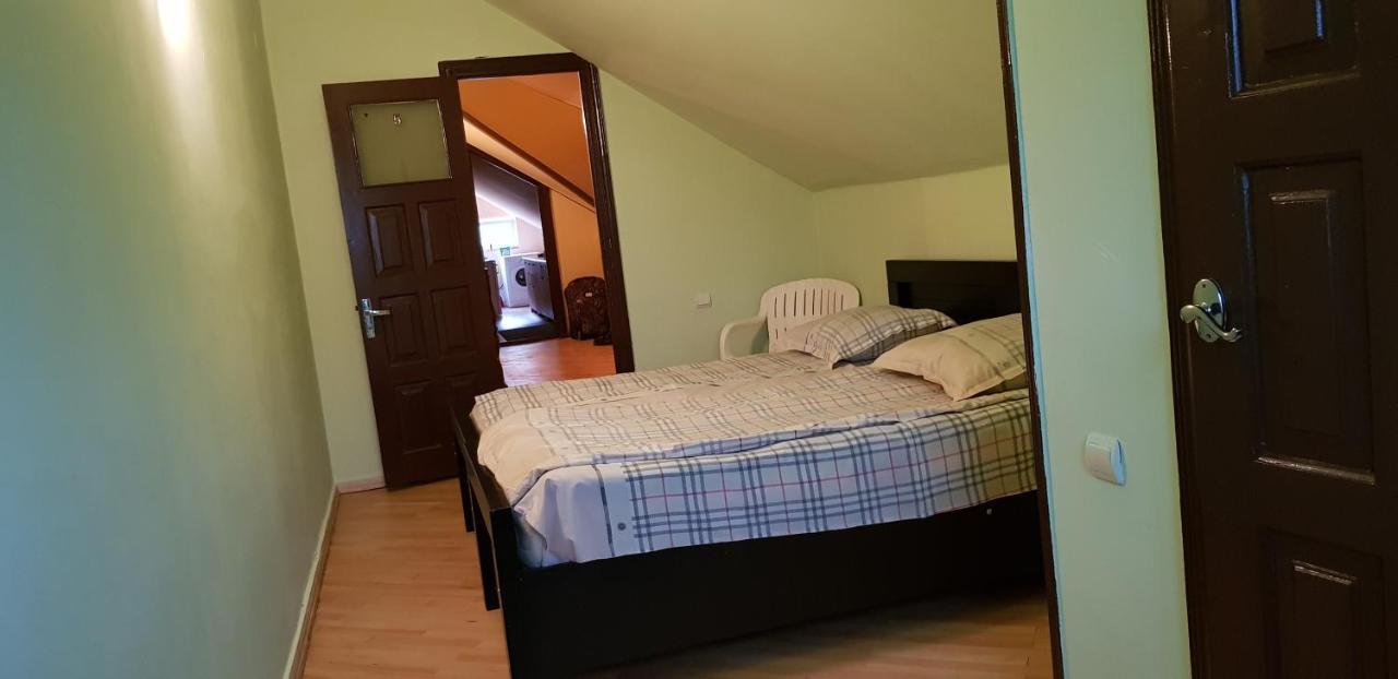 Guest house Likani 2017 Bordjomi Extérieur photo